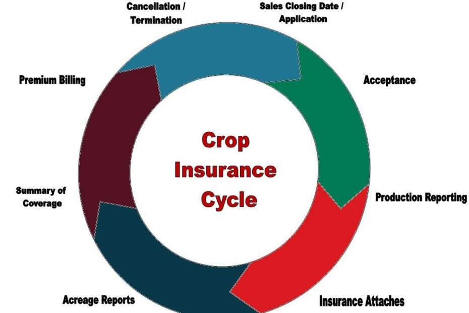 Insurance Policy Life Cycle Diagram