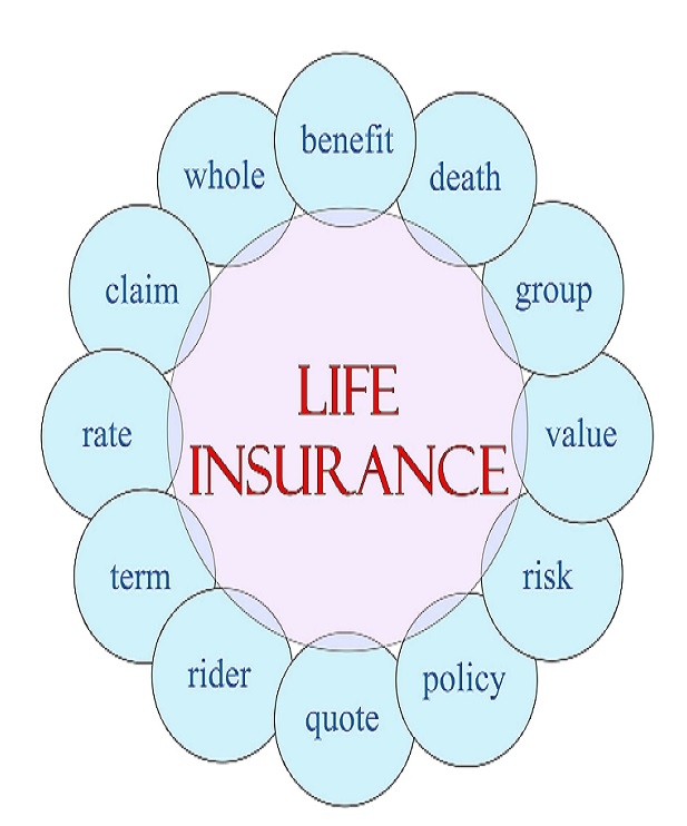 Insurance Policy Life Cycle Diagram METRO BUCKS INSURANCE Insurance Policy Life Cycle Diagram METRO BUCKS INSURANCE