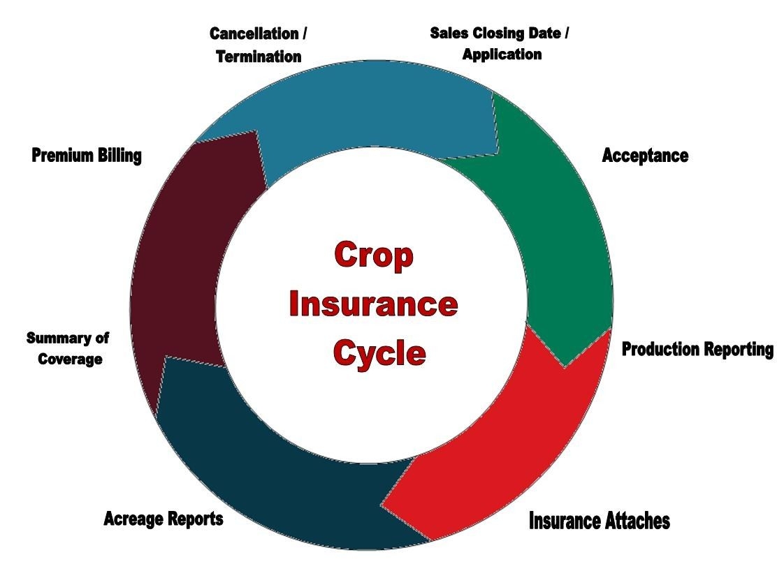 Insurance Policy Life Cycle Diagram Insurance Policy Life Cycle Diagram