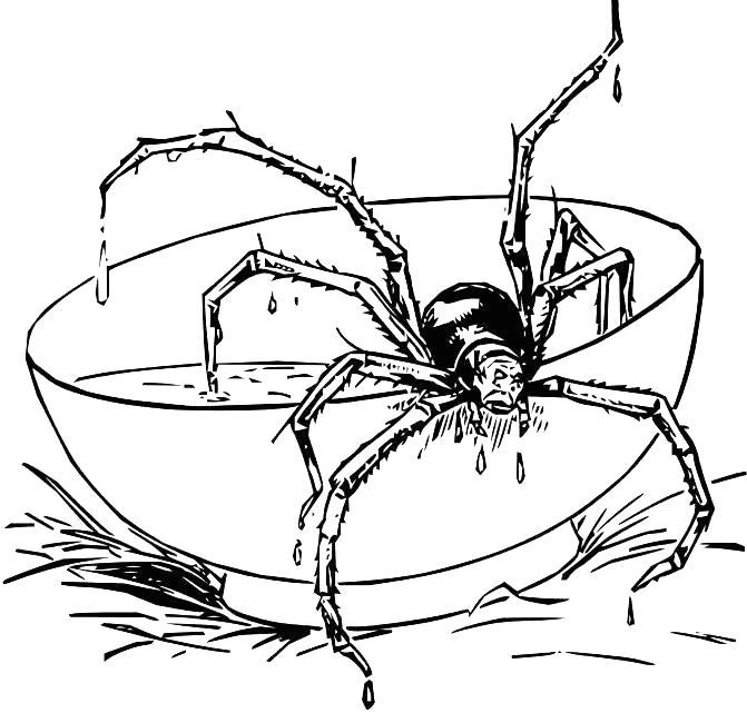 Iron Spider Coloring Sheet Coloring Pages Iron Spider Coloring Sheet Coloring Pages