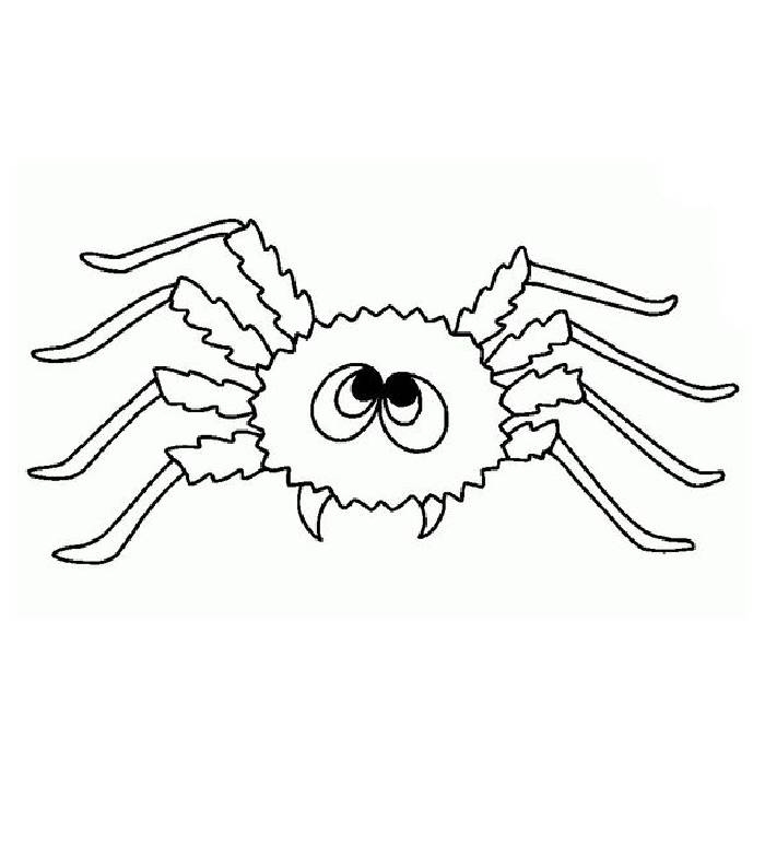 Itsy Bitsy Spider Coloring Page Itsy Bitsy Spider Coloring Page