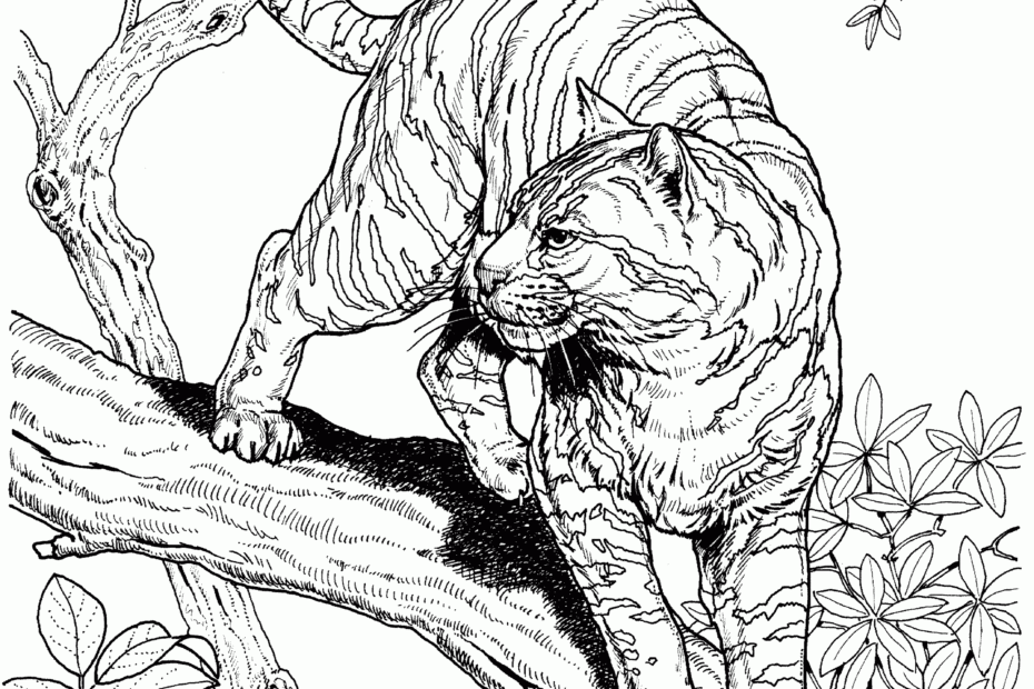 Jungle Animals Coloring Pages Free Coloring Home