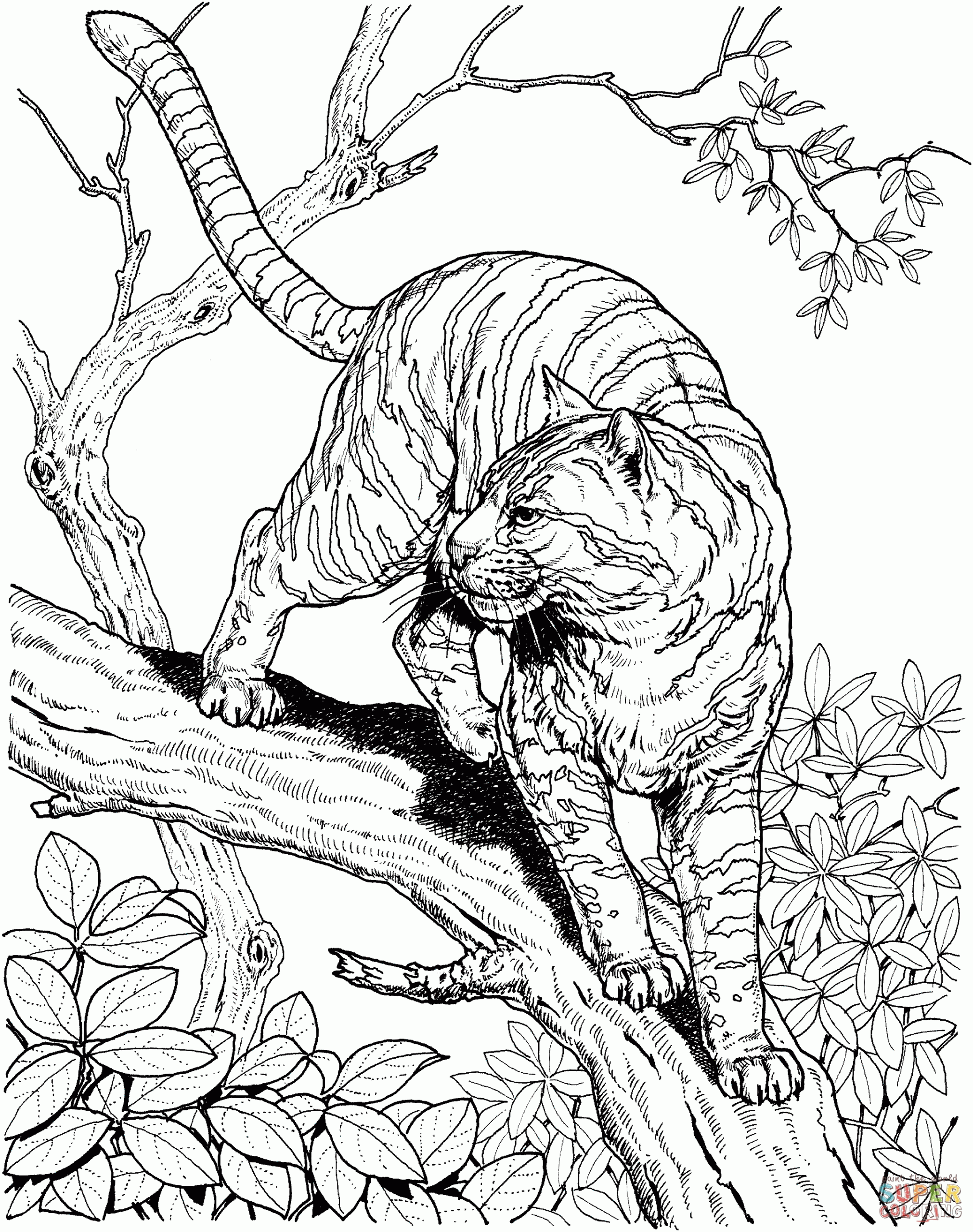 Jungle Animals Coloring Pages Free Coloring Home