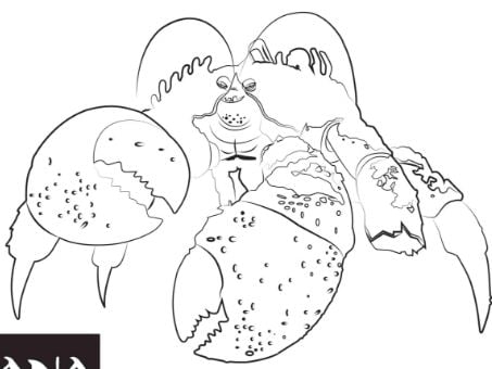 Kakamora From Moana Coloring Pages Moana Coloring Pages Coloring Kakamora From Moana Coloring Pages Moana Coloring Pages Coloring