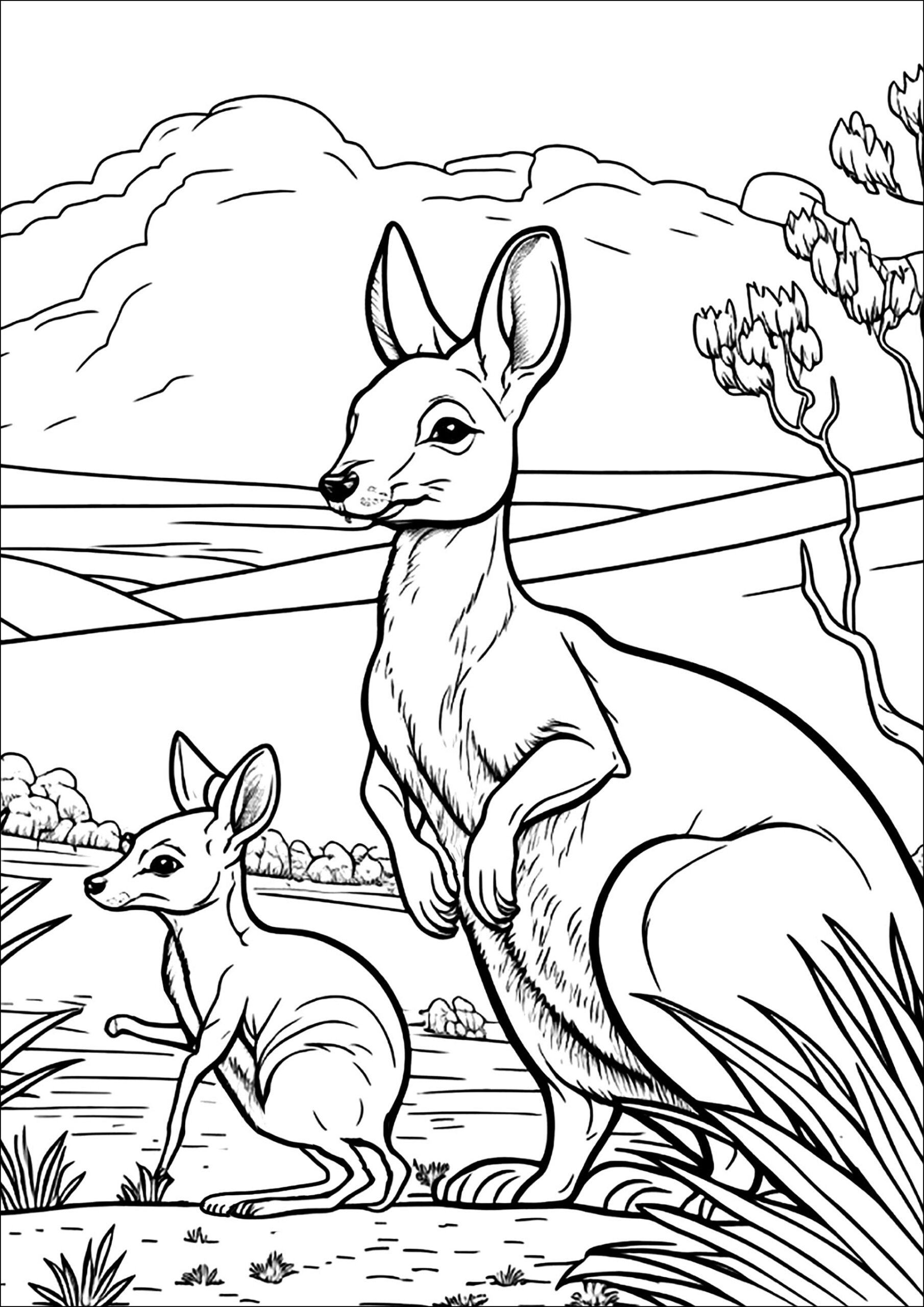 Kangaroo Pictures To Color Printable Infoupdate Kangaroo Pictures To Color Printable Infoupdate