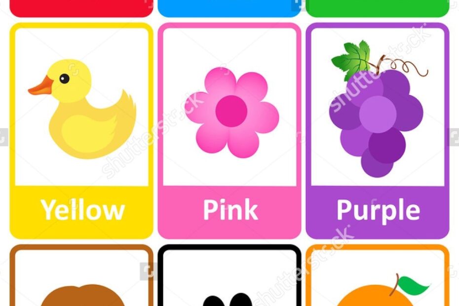 Kindergarten Flash Cards Kindergarten