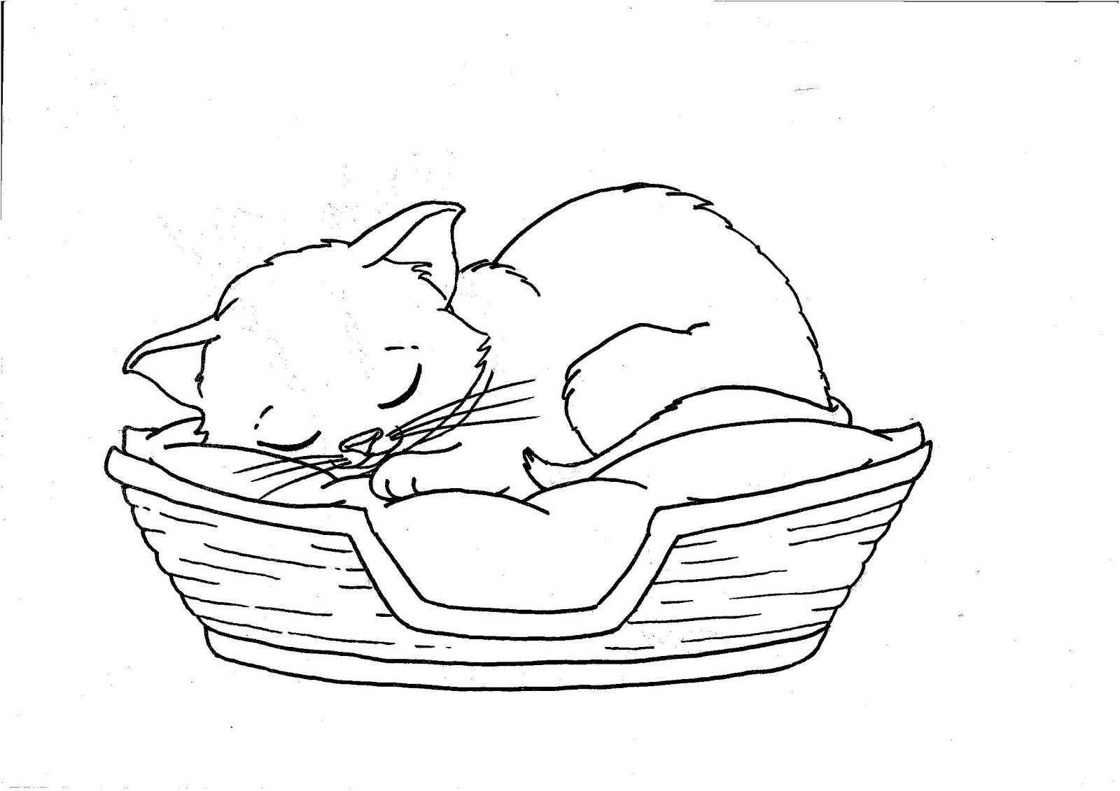 Kitten Coloring Pages Best Coloring Pages For Kids Kitten Coloring Pages Best Coloring Pages For Kids