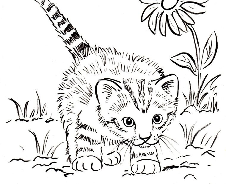 Kitten Coloring Pages Best Coloring Pages For Kids