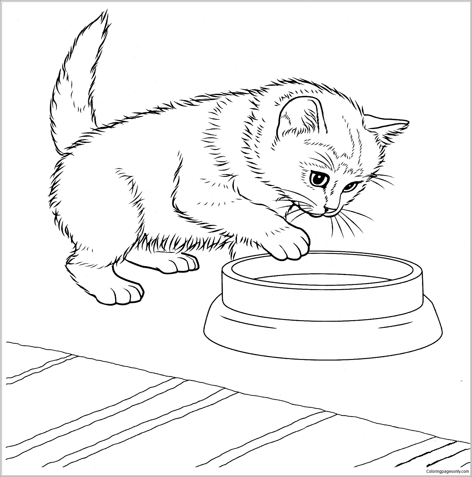 Kitten Coloring Pages ColoringBay Kitten Coloring Pages ColoringBay