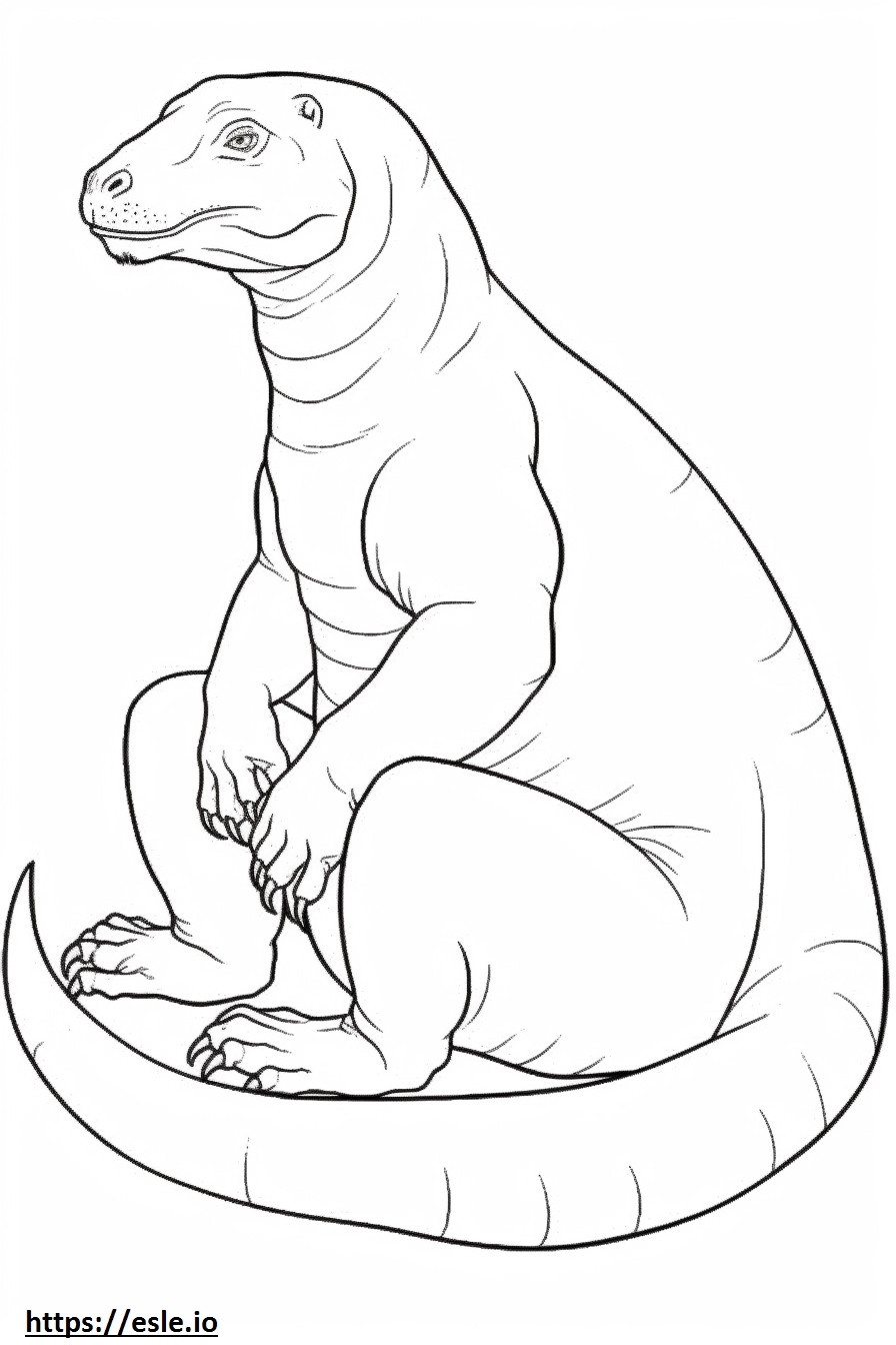 Komodo Dragon Full Body Coloring Page Komodo Dragon Full Body Coloring Page