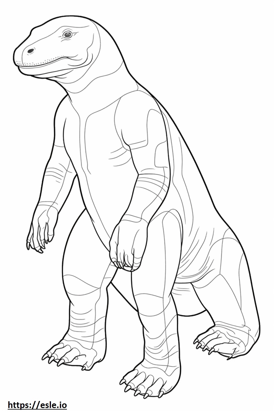 Komodo Dragon Full Body Coloring Page Komodo Dragon Full Body Coloring Page