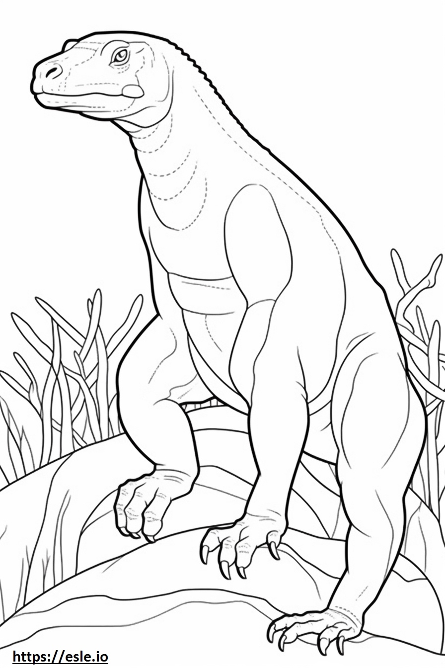 Komodo Dragon Full Body Coloring Page Komodo Dragon Full Body Coloring Page