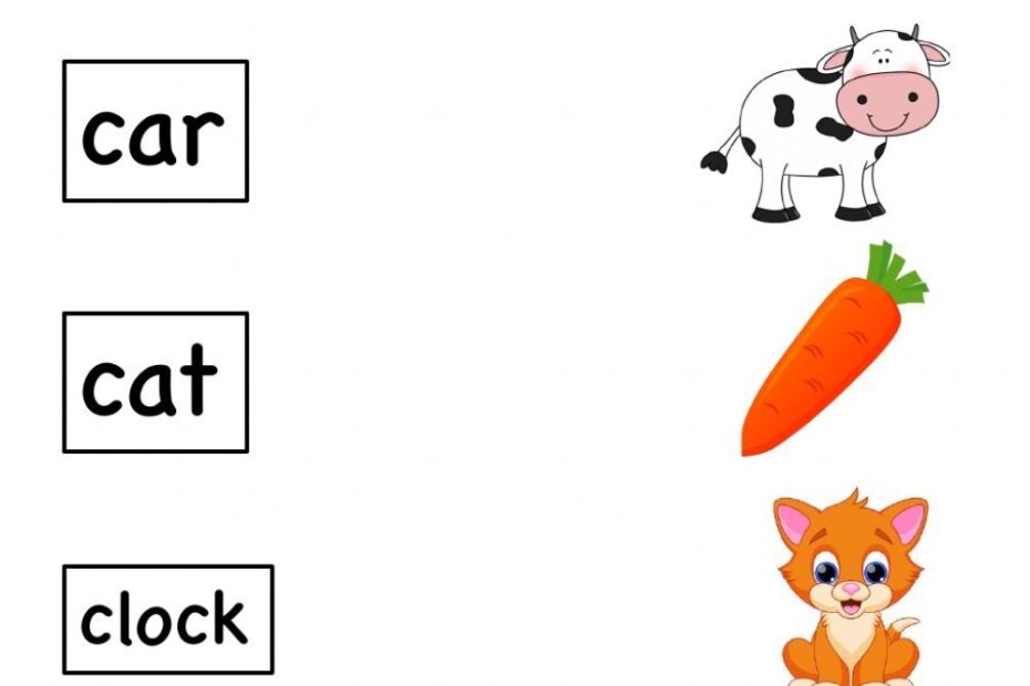 Letter C Matching Interactive Worksheet Worksheets Shapes Worksheet