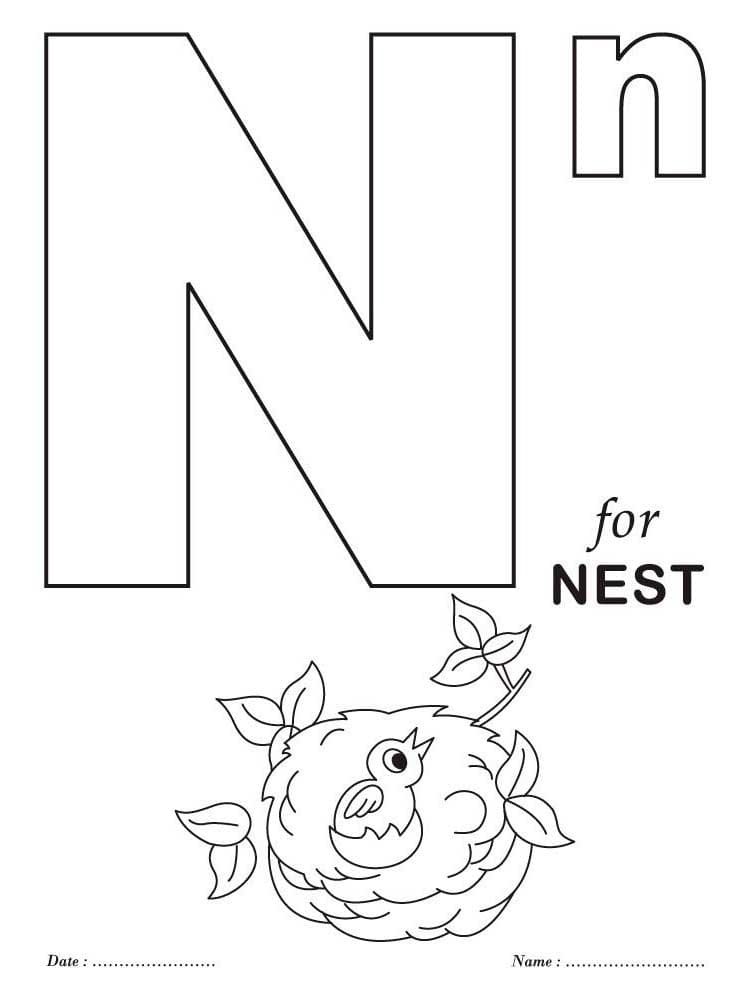 Letter N Is For Nest Coloring Page Download Print Or Color Online Letter N Is For Nest Coloring Page Download Print Or Color Online