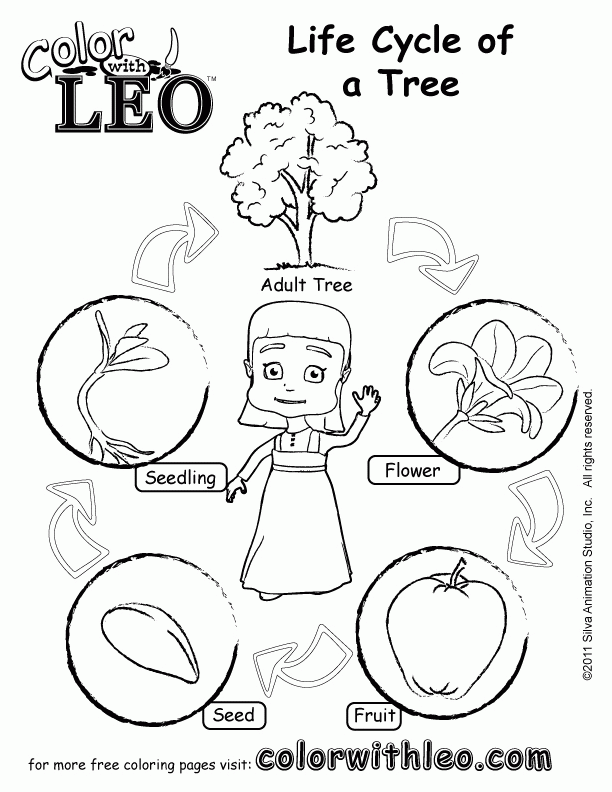 Life Cycle Coloring Sheet Coloring Pages Life Cycle Coloring Sheet Coloring Pages