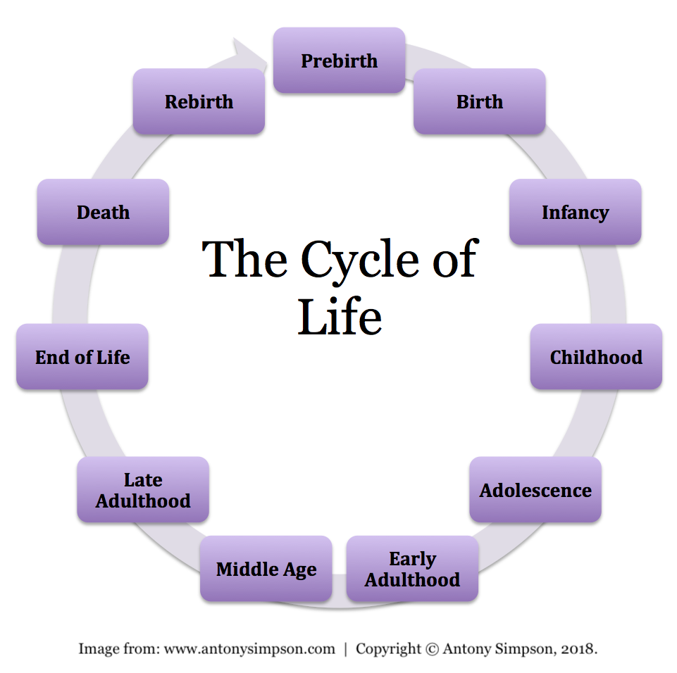 Life Cycle Diagram Life Cycle Diagram