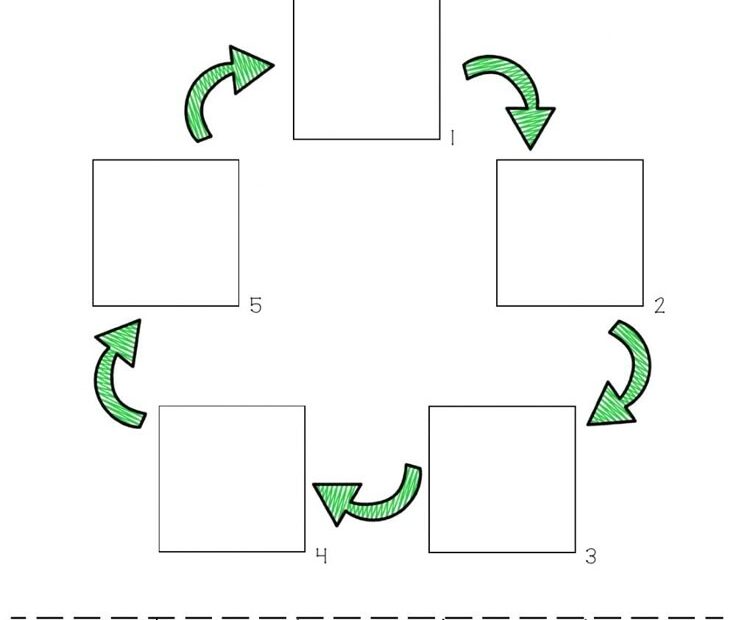 Life Cycle Ficha Online Puedes Hacer Los Ejercicios Online O Descargar