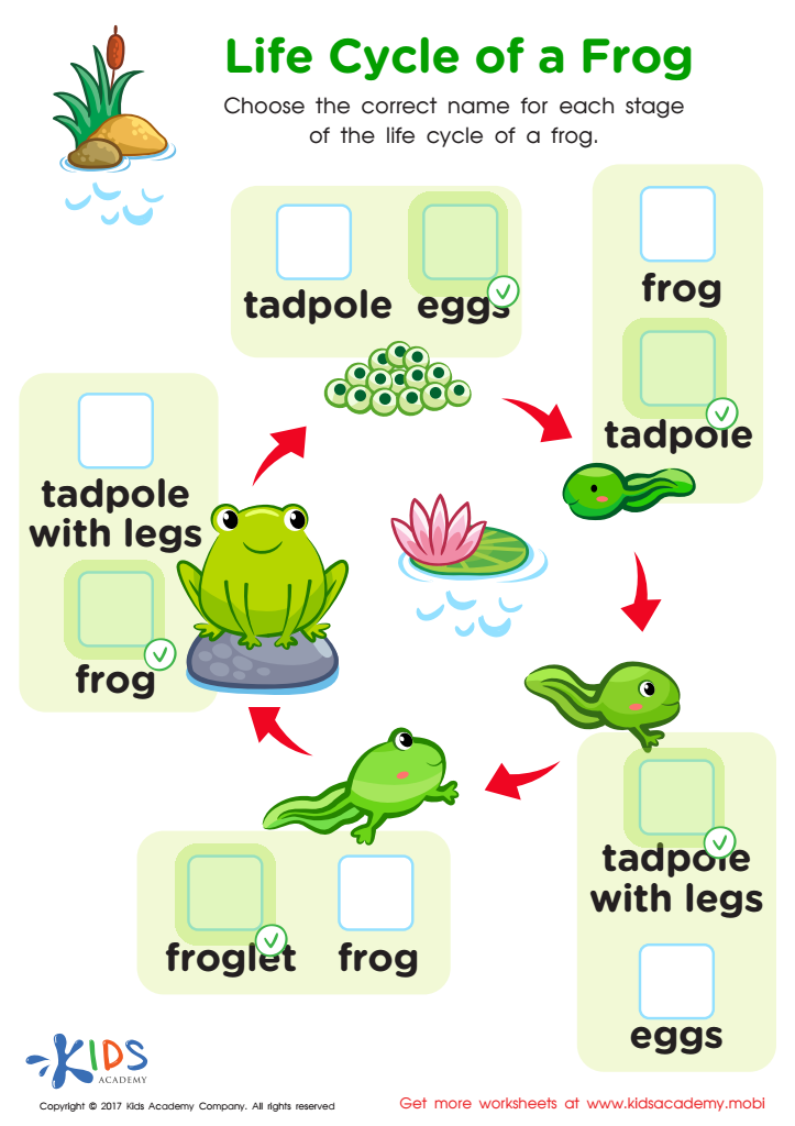Life Cycle Frog Free Worksheet PDF For Kids Answers And Completion Rate Life Cycle Frog Free Worksheet PDF For Kids Answers And Completion Rate