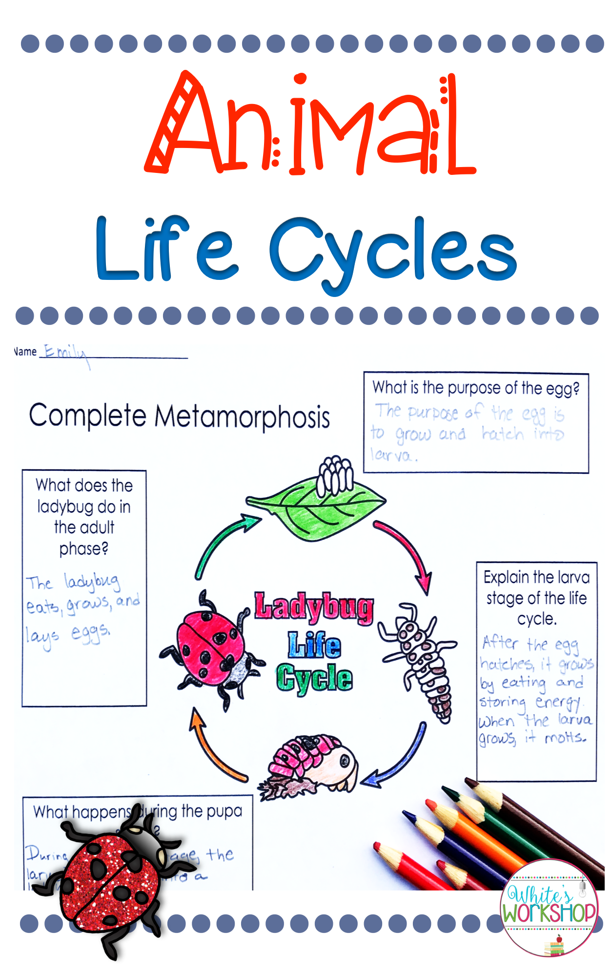 Grade 2 Life Cycle Lesson Plan Template Grade 2 Life Cycle Lesson Plan Template