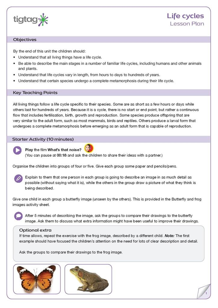 Life Cycle Lesson Plans Life Cycle Lesson Plans