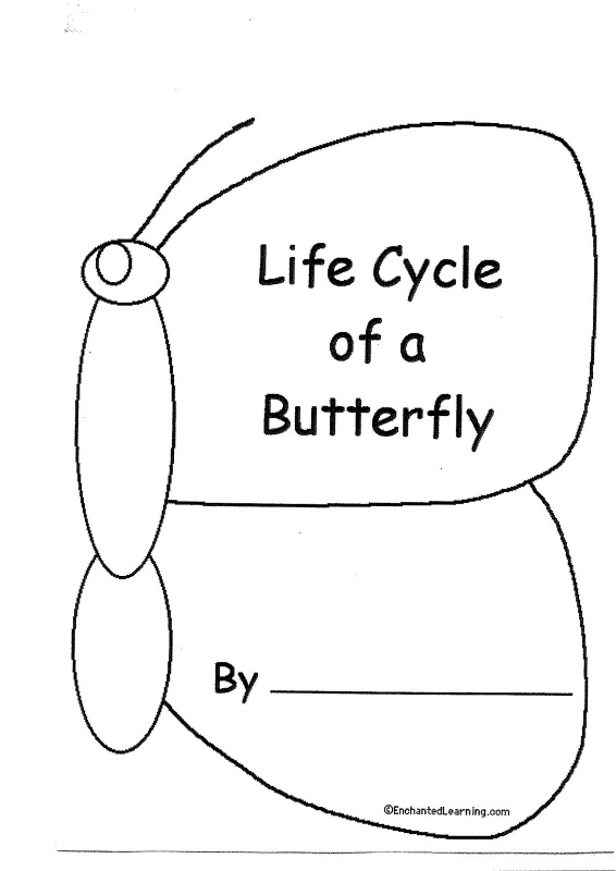 LIFE CYCLE OF A BUTTERFLY BOOK Learningenglish esl LIFE CYCLE OF A BUTTERFLY BOOK Learningenglish esl