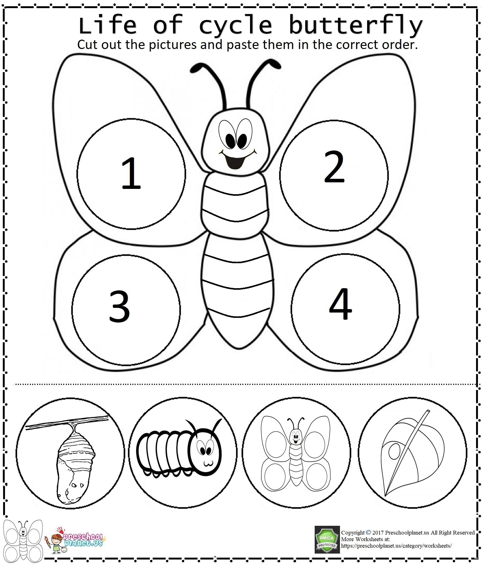 Life Cycle Of A Butterfly Coloring Sheet Coloring Pages Life Cycle Of A Butterfly Coloring Sheet Coloring Pages