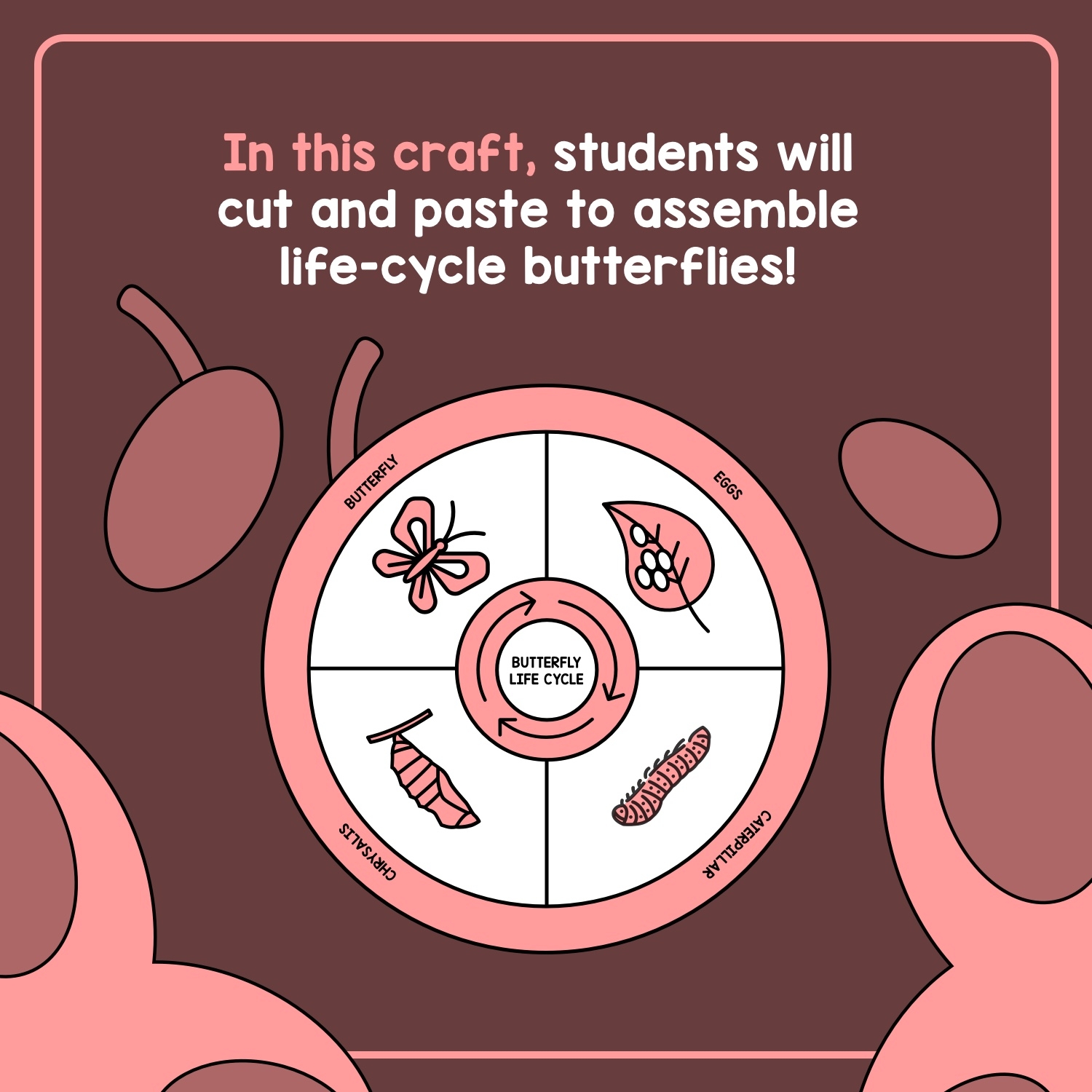 Life Cycle Of A Butterfly Craft Butterfly Life Cycle Bulletin Board Life Cycle Of A Butterfly Craft Butterfly Life Cycle Bulletin Board