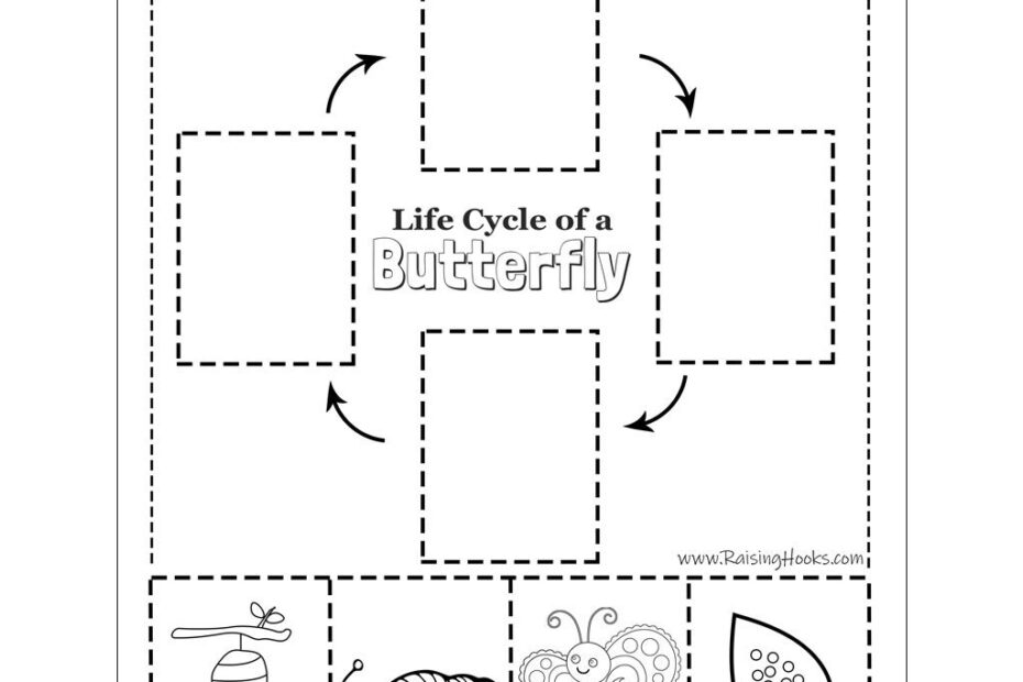 Life Cycle Of A Butterfly Cut And Paste Raising Hooks Butterfly