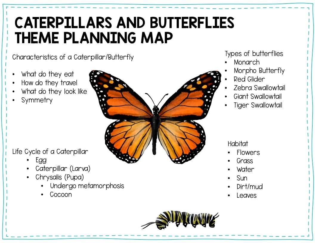 Life Cycle Of A Butterfly Kindergarten Lesson Plan Free Printable Life Cycle Of A Butterfly Kindergarten Lesson Plan Free Printable