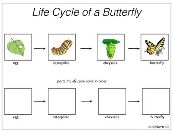 Life Cycle Of A Butterfly Lesson Plan For Preschool Jhayrshow Life Cycle Of A Butterfly Lesson Plan For Preschool Jhayrshow