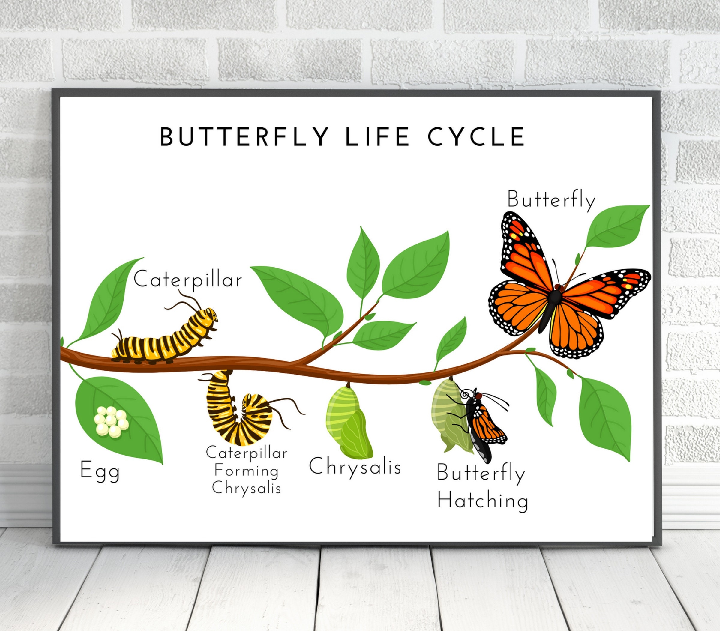 Life Cycle Of A Butterfly Poster Butterfly Poster Fill In The Blank Life Cycle Of A Butterfly Poster Butterfly Poster Fill In The Blank