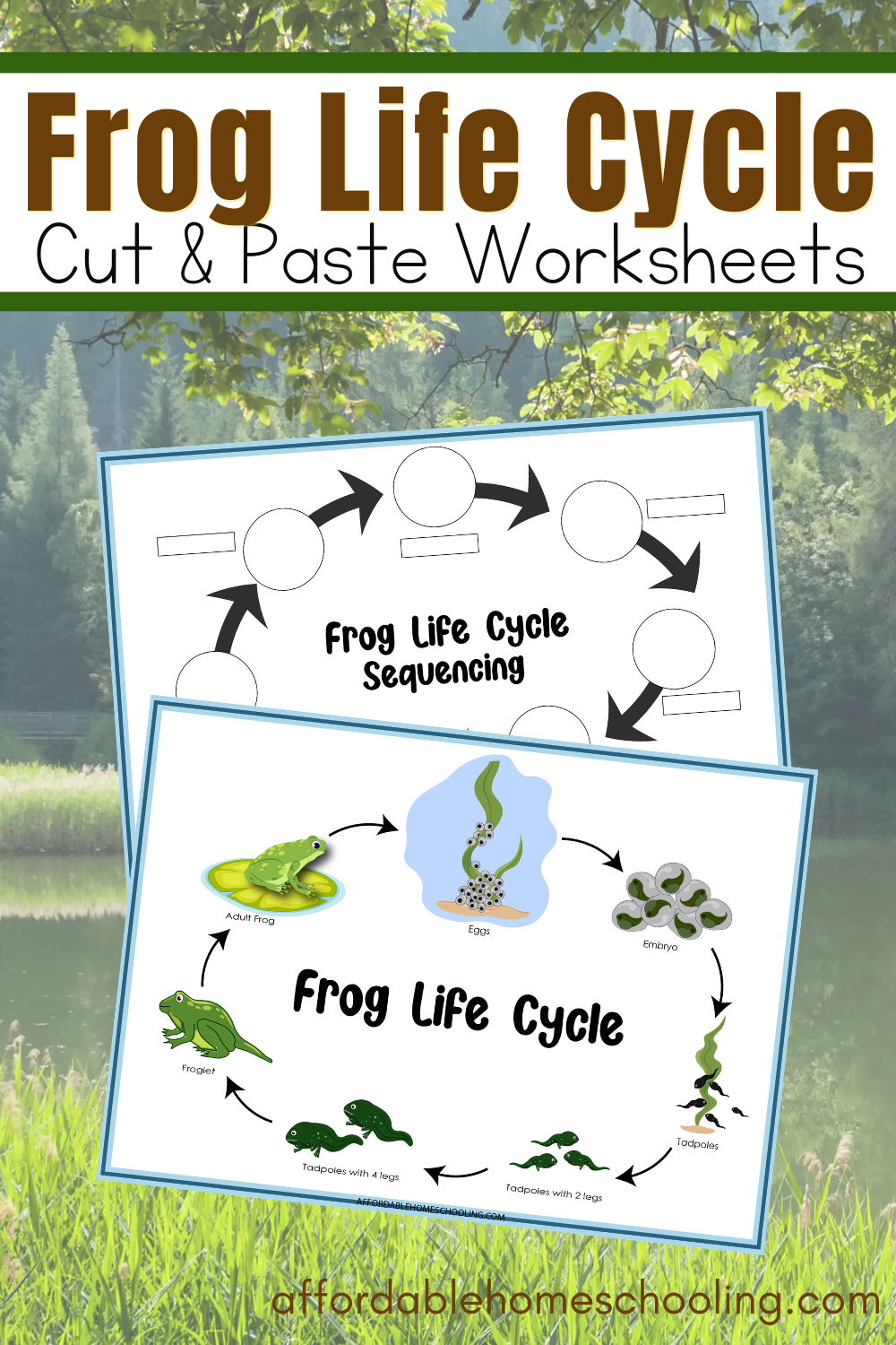 Life Cycle Of A Frog Worksheets Cut And Paste Life Cycle Of A Frog Life Cycle Of A Frog Worksheets Cut And Paste Life Cycle Of A Frog