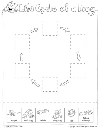 Life Cycle Of A Frog Worksheets Cut And Paste Life Cycle Of A Frog Worksheets Cut And Paste