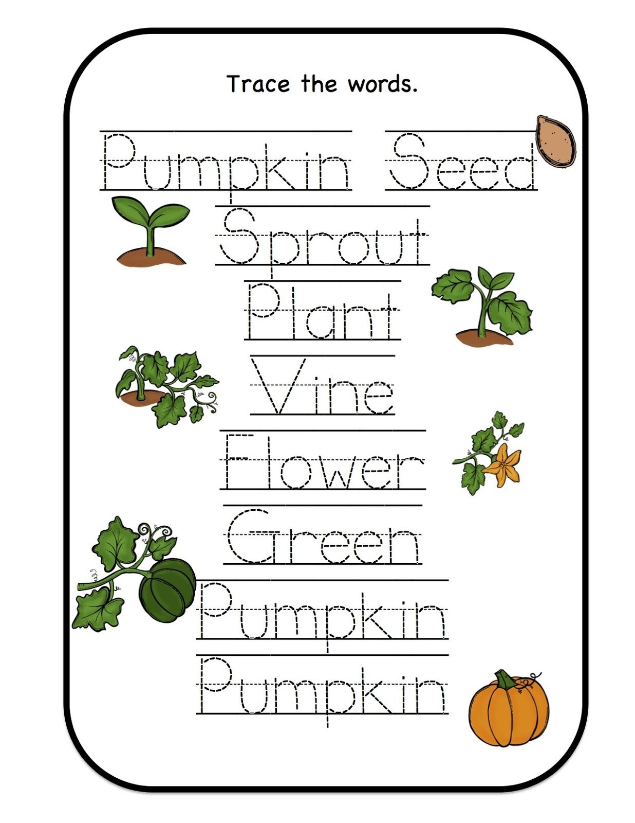 Life Cycle Of A Pumpkin Preschool Life Cycle Of A Pumpkin Preschool