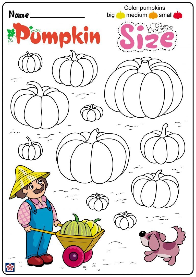 Pumpkin Plant Life Cycle Worksheet Pumpkin Plant Life Cycle Worksheet