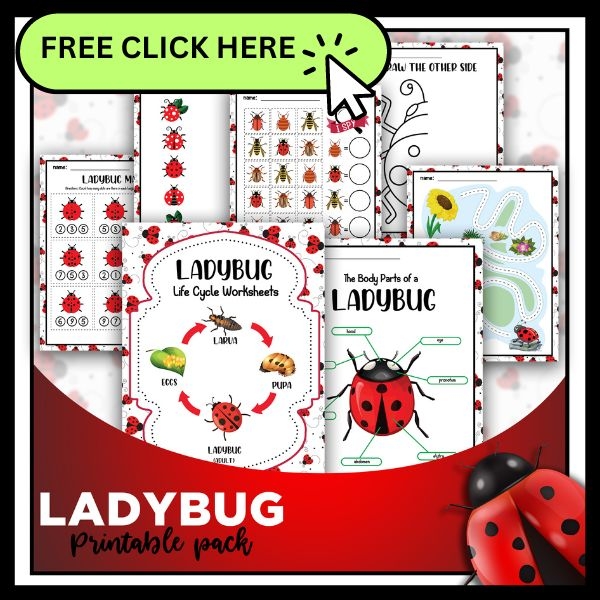 Life Cycle Of A Stick Insect Ks2 Ppt Infoupdate Life Cycle Of A Stick Insect Ks2 Ppt Infoupdate