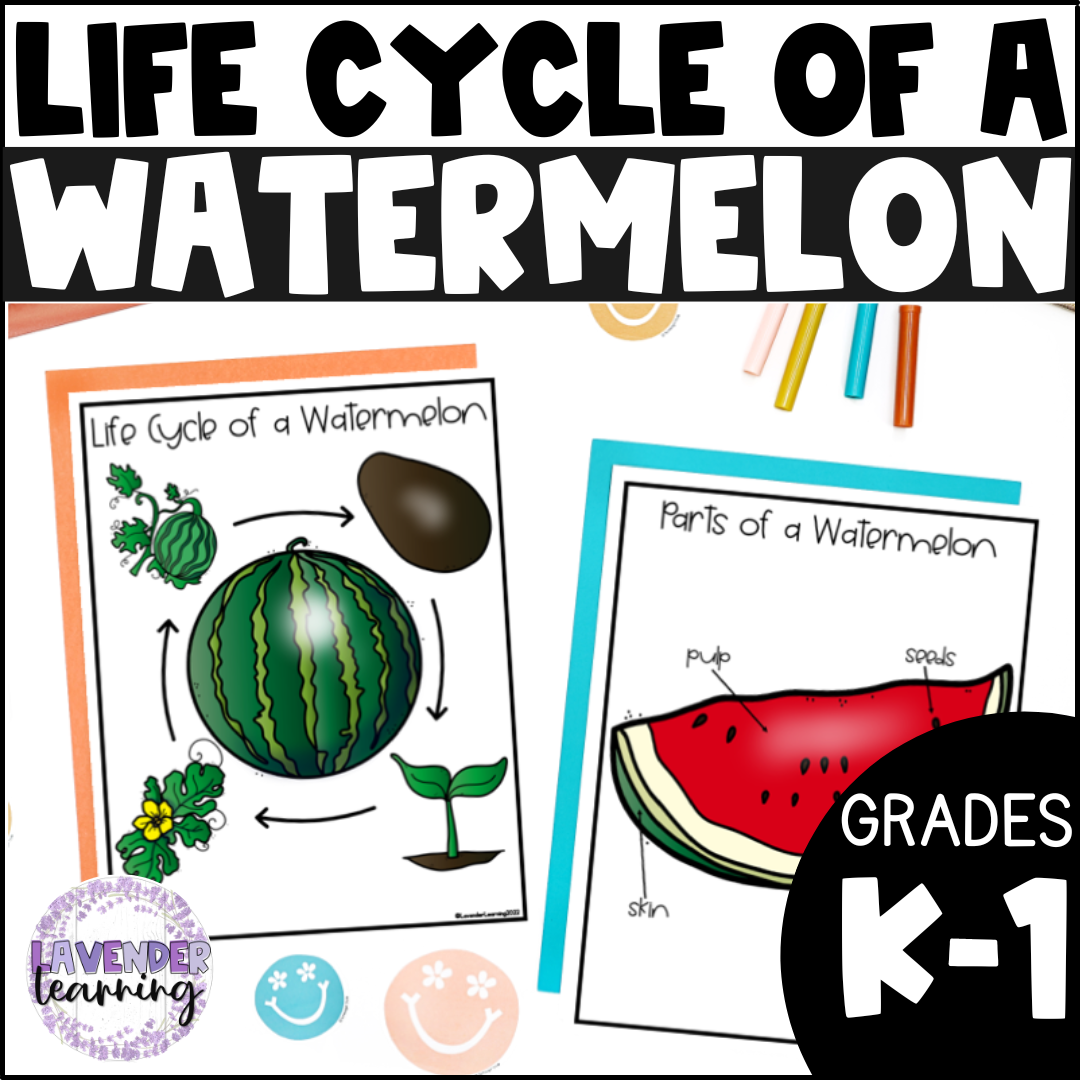 Life Cycle Of A Watermelon Activities Worksheets Watermelon Life Life Cycle Of A Watermelon Activities Worksheets Watermelon Life