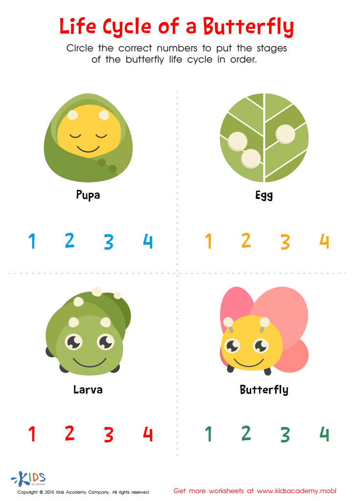Life Cycle of Butterfly for Kids Worksheet Life Cycle of Butterfly for Kids Worksheet