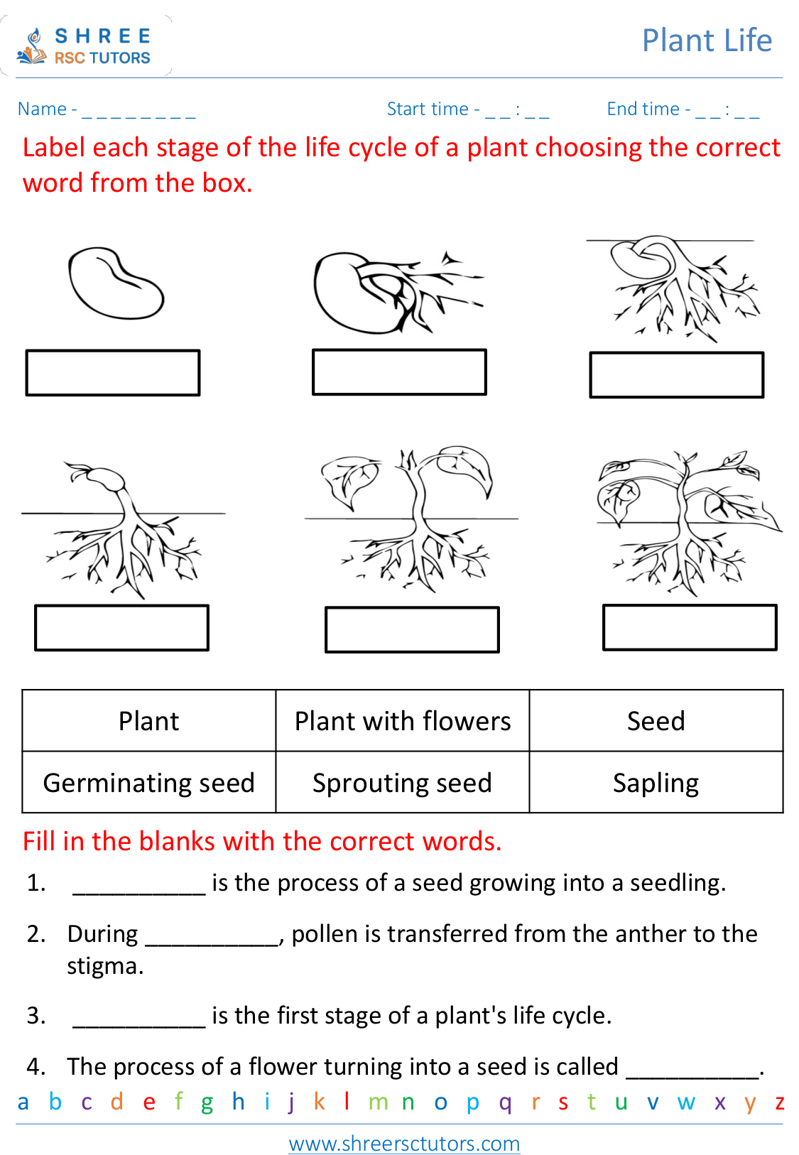Life Cycle Of Flowering Plants Worksheets For Grade 5 Science Shree 