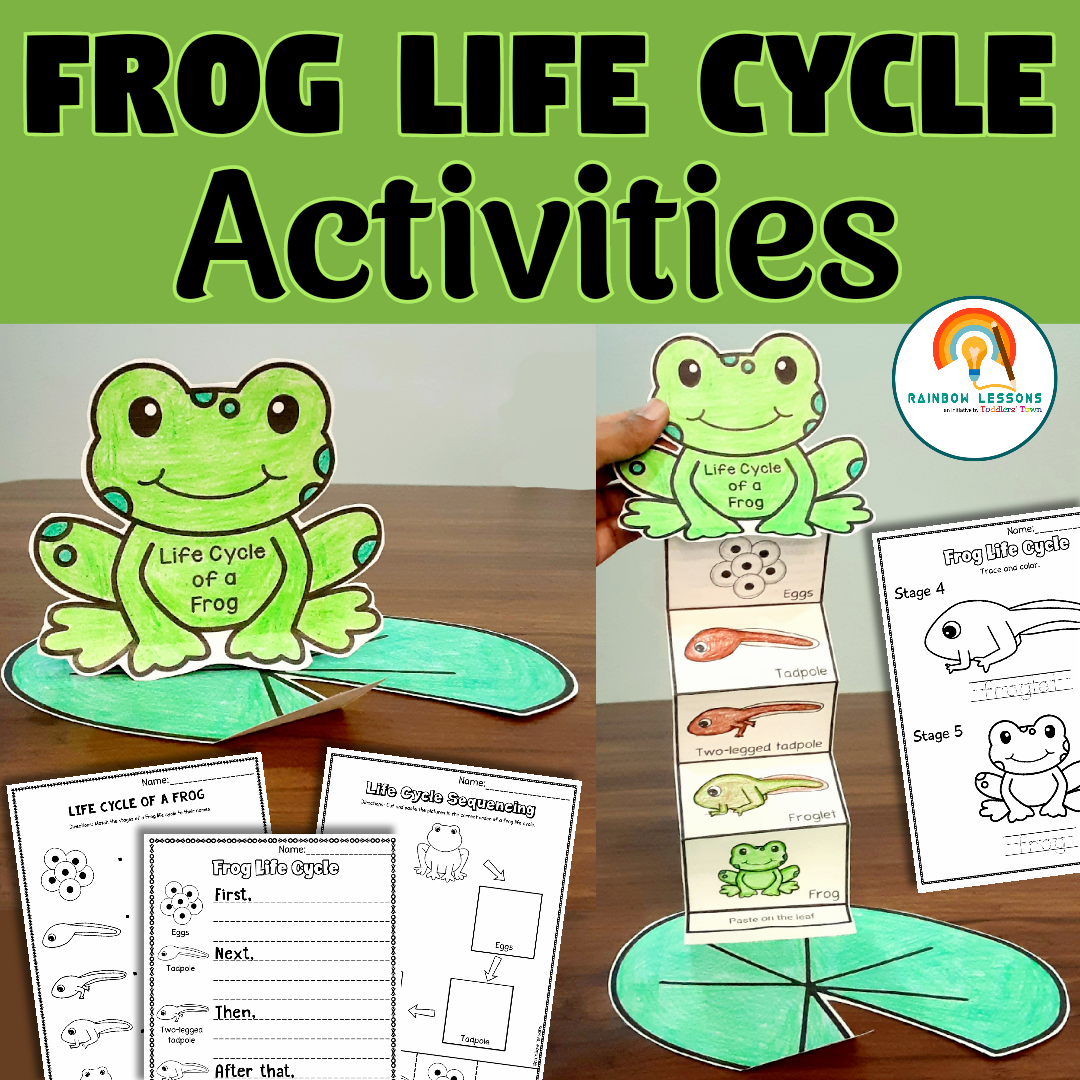 Life Cycle Of Frog Activities Frog Life Cycle Craft Kindergarten Life Cycle Of Frog Activities Frog Life Cycle Craft Kindergarten