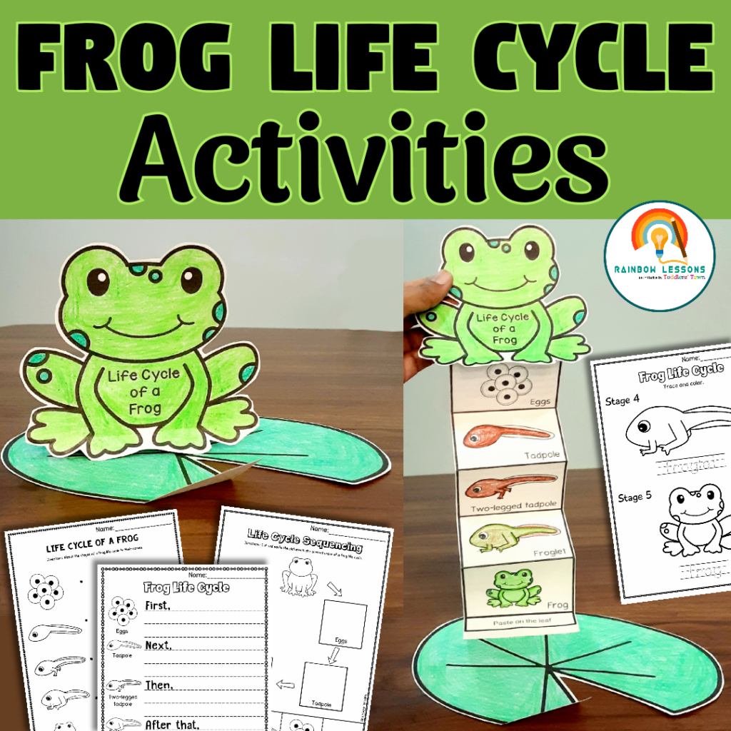 Life Cycle Of Frog Activities Frog Life Cycle Craft Kindergarten Life Cycle Of Frog Activities Frog Life Cycle Craft Kindergarten