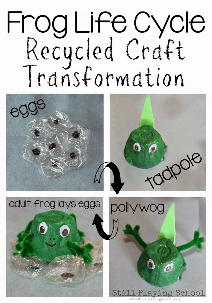 Life Cycle Of Frog Preschool Life Cycle Of Frog Preschool