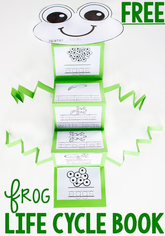 Life Cycle Of Frog Printable Life Cycle Of Frog Printable