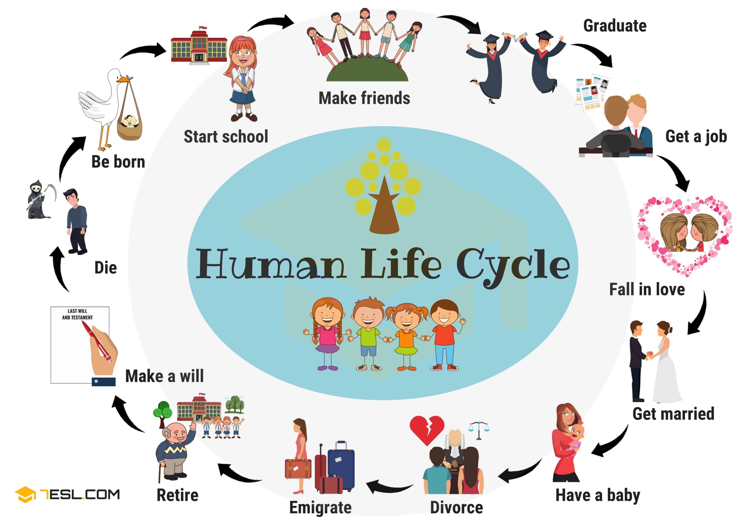Life Cycle Of Human Human Life Cycle Stages Of Human Life Cycle Porn Life Cycle Of Human Human Life Cycle Stages Of Human Life Cycle Porn
