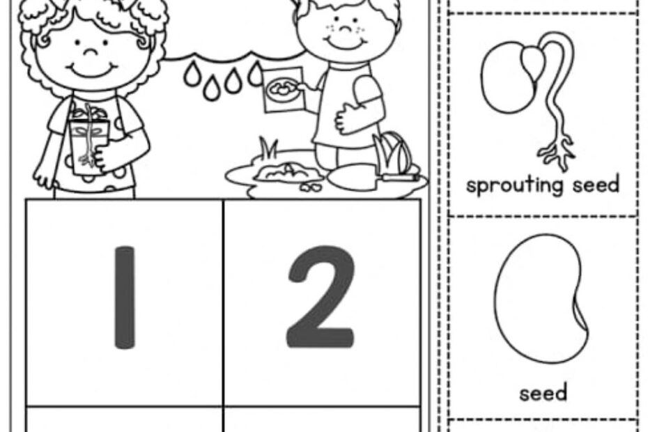 Life Cycle Of Plant Worksheet Printable Worksheets