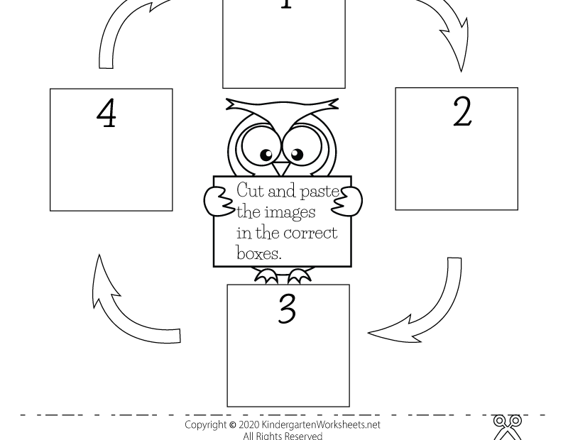 Life Cycle Of Plant Worksheets Kindergarten