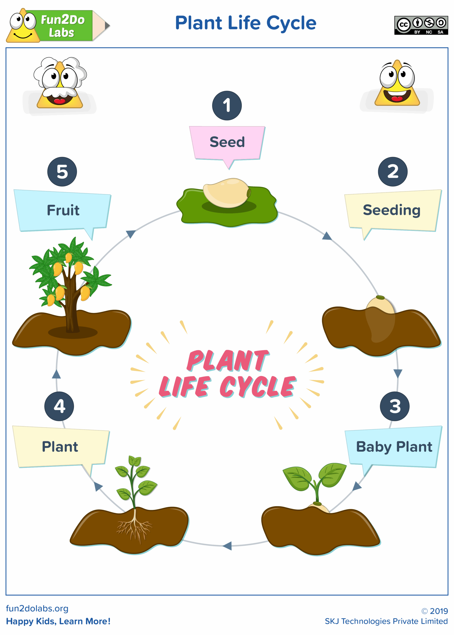 Life Cycle Of Plants Worksheet Grade 5 Life Cycle Of Plants Worksheet Grade 5