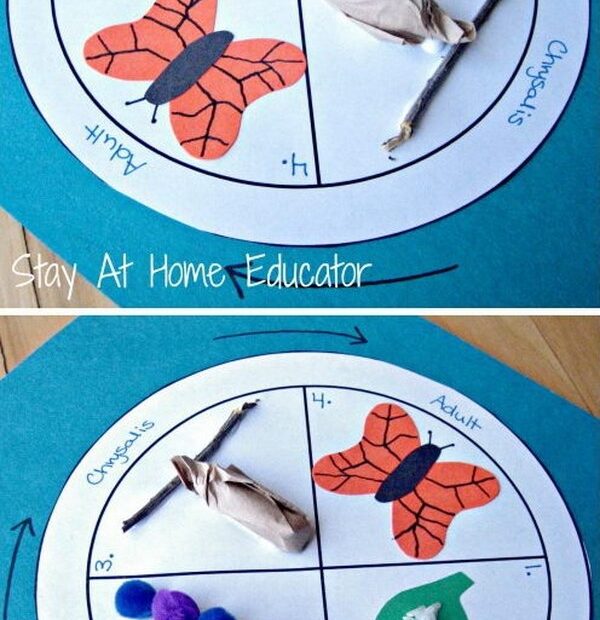 Life Cycle Project Ideas