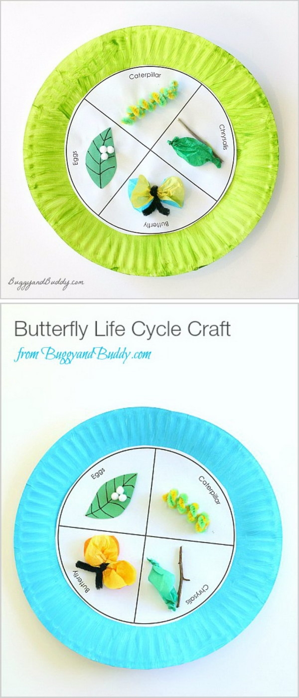 Life Cycle Projects For Kids Life Cycle Projects For Kids
