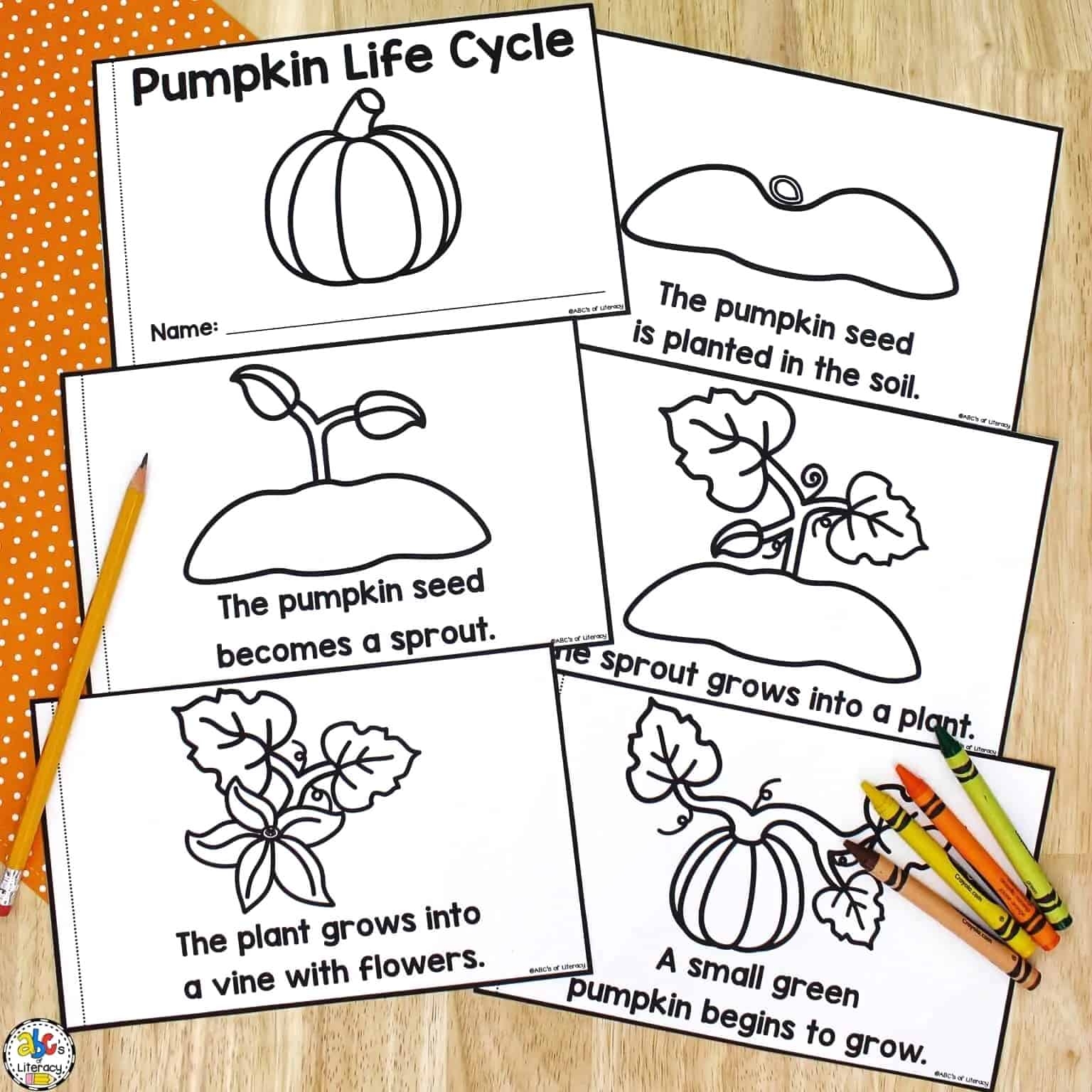 Life Cycle Pumpkin Worksheet Dev onallcylinders Life Cycle Pumpkin Worksheet Dev onallcylinders